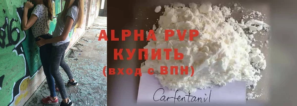 трава Новозыбков