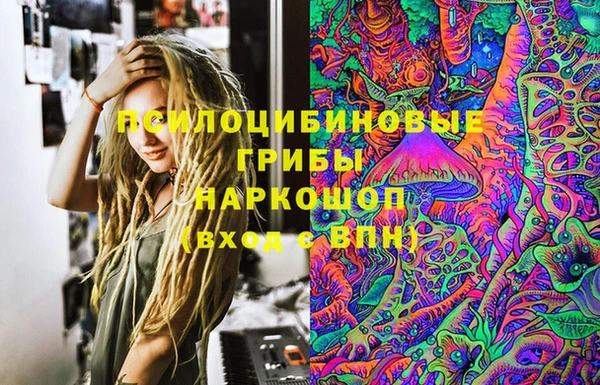 СК Новокубанск