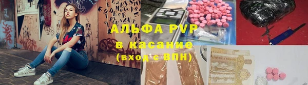 СК Новокубанск