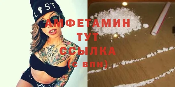 трава Новозыбков