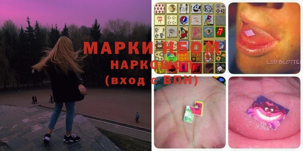трава Новозыбков