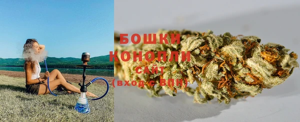 трава Новозыбков