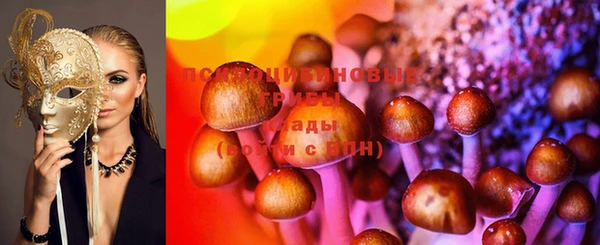 трава Новозыбков