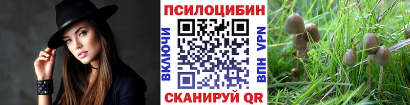 shop какой сайт  Ачинск  Псилоцибиновые грибы Psilocybe 