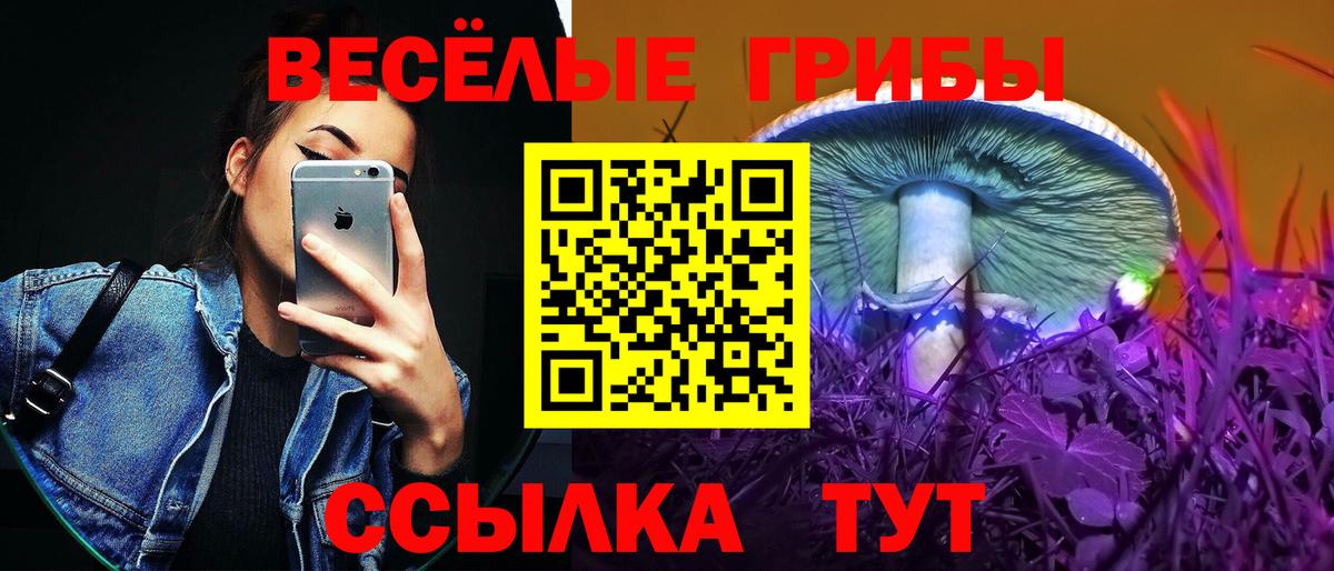 LSD-25  A-PVP СК   Мефедрон кристаллы  Марихуана  Вход с VPN  Cocaine  Ачинск  НБОМе 