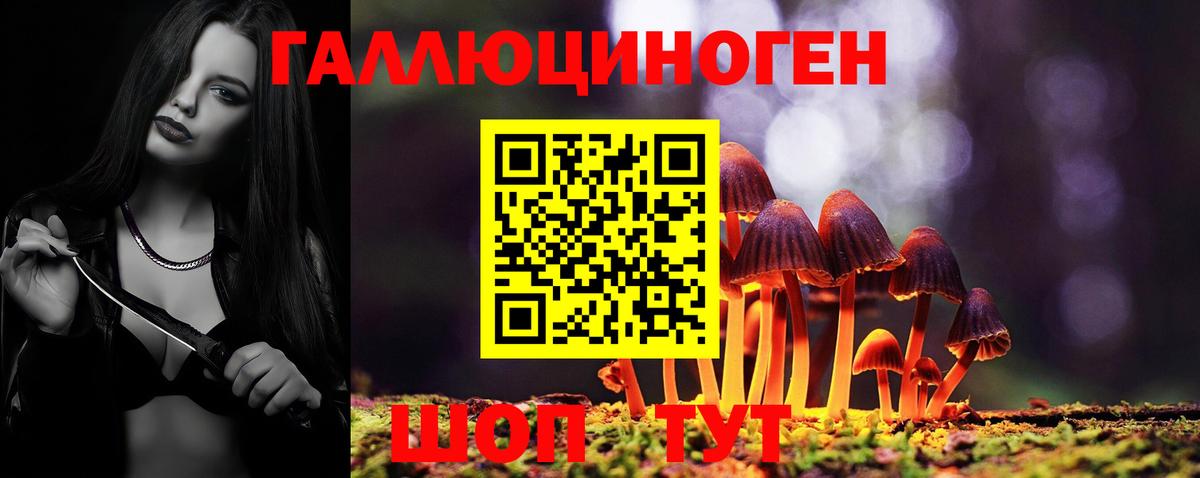 Ачинск  Галлюциногенные грибы MAGIC MUSHROOMS  Вход с VPN 